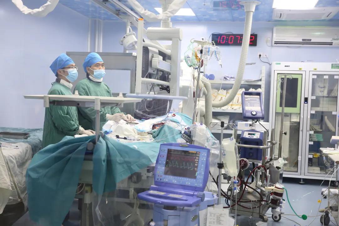 桂林首例！冠脉危重复杂病变，带上ECMO做心脏支架，十天后康复出院