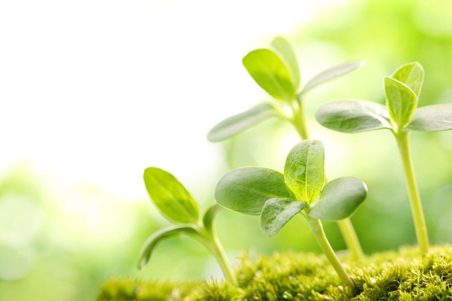 心理咨询门诊简介