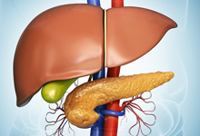 肝胆胰外科介绍