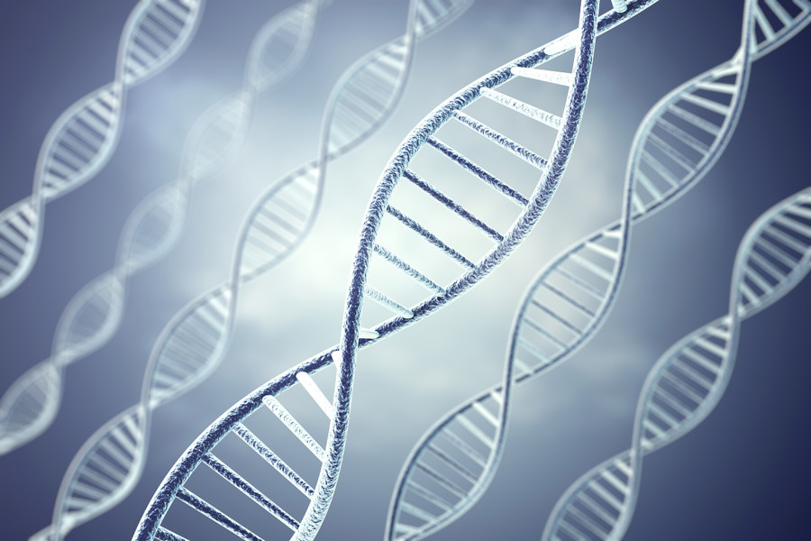 伦理委员会简介