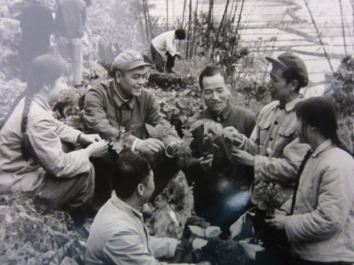 【老照片】二十世纪七十年代医务人员上山采药​