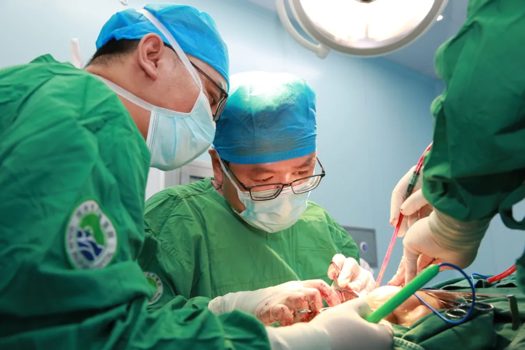 真实案例：小疙瘩长成小笼包。医生提醒：耳朵下方肿块千万别拖！