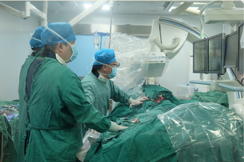 血管外科完成广西首例零碘造影剂复杂腹主动脉瘤介入手术
